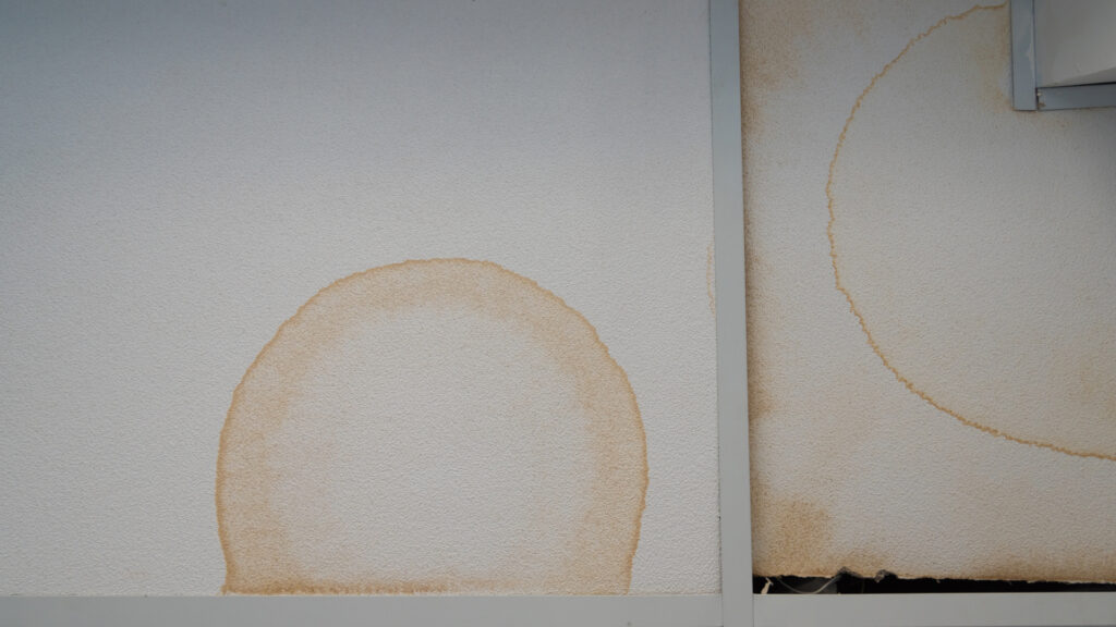 Roof leak warning signs — brown water stain on ceiling of London home, roof leak warning signs London